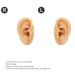 Ear Piercing Practice Model - Soft Silicone Lifelike Left Right Reusable Display for Earphones (Light Beige) - International Shipping Available - Buy Online on GoSupps.com