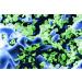 SERA SIBORAX Aquarium Filter Material 1000 ml - Organic Biological Filter Medium for Aquariums (Pack of 2) | Maximum Filtration Efficiency - Buy Online on GoSupps.com