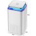 Mosquito Killer LED UV Insect Trap Smart Indoor Mosquito Catcher Chemical Free Baby and Maternity Care Lights - Buy Online on GoSupps.com