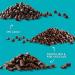 Enjoy Life Semi Sweet Chocolate Mini Chips 10 oz (Set of 3) - Dairy-Free, Nut-Free | Ideal for Baking and Snacking - Buy Online on GoSupps.com