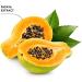 Buy Ecodenta Teeth Whitening Toothpaste 100ml | Organic Natural Papaya & Aloe Vera | Best Whitening Toothpaste - Buy Online on GoSupps.com