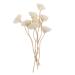 8Pcs Reed Diffuser Sticks Rattan Reed Fragrance Diffuser Flower Diffuser with Rattan Sticks for Room Fragrance and Home Decoration