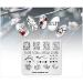 Alexnailart Chinese Style Plum Flower Nail Art Stamping Template (CN006) - Buy Online on GoSupps.com