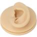 Human Right Ear Model Human Ear Model Clear Internal External Structure Soft Silicone Waterproof for Ear Learning for Suppliers - Buy Online on GoSupps.com