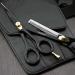 Professional Hairdressing Scissors Barber/Salon Shears Set 6" with Pouch& Razor - Buy Online on GoSupps.com
