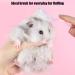 2 Pack Hamster Brush & Hedgehog Cleaning Supplies - Guinea Pig Massage Combs | WOLEDOE - Buy Online on GoSupps.com