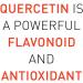 Natural Factors Bioactive Quercetin EMIQ 50 mg - 60 Vegetarian Capsules for Immune Support - Buy Online on GoSupps.com