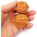 Natural Walnuts Relieve Stress And Soothe Meridian Walnuts Promote Blood Circulation Massage Walnuts Add A Walnut Cleaning Brush Walnuts Can Change Color With Play 48mm - Buy Online on GoSupps.com