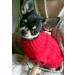 Chihuahua Clothes Puppy Dog Coat Knit Jumper Cosy Teacup Smaller Breeds XXXS Tiny Toy Miniature Dogs (XXXS RED) 3XS (Pack of 1) - RED - Buy Online on GoSupps.com