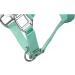 Shop RL24 Halter with Plush Padding - BASICLINE in 6 Colors for Shetland Pony Thoroughbred & Warmblood | Light Green Warmblood Edition - Buy Online on GoSupps.com