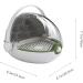 Mipcase 1 Set Box Breeding Box Kids Magnifying Glasses Critter Keeper Observation Supply Shell - Buy Online on GoSupps.com