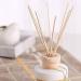 Rattan Sticks for Room Fragrance - 100 pcs Reed Fiber Diffusers (20 cm x 3 mm) for Home Office Spa | Essential Oil Aroma Sticks - 50 Nature & 50 Black - Buy Online on GoSupps.com