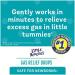 Little Remedies Gas Relief Drops Natural Berry Flavor Safe for Newborns 1.0 Fl Oz (Pack of 4) - Buy Online on GoSupps.com