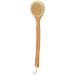 Deep Cleaning Long Handle Shower Brush for Exfoliating Skin - Body Scrubber for Wet or Dry Brushing - Bath Shower Body Care - Buy Online on GoSupps.com
