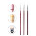 Nail Art Liner Brush Set - 3Pcs Painting, Drawing, and Line Detailing Brushes for DIY Manicure - Nail Art Pen and Dotting Tools Included - Buy Online on GoSupps.com