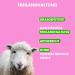Buy Irish Pure Dry Dog Food 4kg | Weidelamm & Freiland-Huhn | High Meat Cereal-Free Sensitive Formula | Best for All Breeds - Buy Online on GoSupps.com
