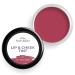 Everyday Lip Cheek and Eye Tint Balm for Women | Lip Tint - Rosy Rush | Long Lasting Vegan with Vitamin E Oil - 0.2 FL Oz / 8gm