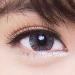 Buy Matlens EOS Gray Colored Contact Lenses | 2.75D Circle Lenses with Care Kit | International Shipping - Buy Online on GoSupps.com