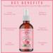 Natural Born Oils 4oz Rose Water Hydrosol 100% Pure and Natural Organic Steam-distilled Facial Toner Cleanser with Sprayer - Buy Online on GoSupps.com