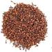 Purna Tattva Nagkesar Iron Wood Mesua Ferrea Dried Indian Chestnut (50g)