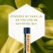 Burt's Bees Moisturizing Lip Balm Vanilla Bean 0.15 Ounce Vanilla Bean 0.15 Ounce (Pack of 1) - Buy Online on GoSupps.com