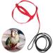 Buy Mioyoow Parrots Flight Harness - Adjustable Training Rope & Portable Bird Dishes for Small & Medium Parrots - Buy Online on GoSupps.com