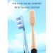 Hard Bristle Adult Toothbrushes - Set of 8 for Deep Cleaning | International Shipping Available - Buy Online on GoSupps.com