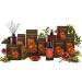 LErbolario Pomegranate Cleansing Gel for Face & Hands - 8.4 oz Unisex Cleanser | International Shipping - Buy Online on GoSupps.com