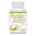 Kyolic Garlic Formula 100 Original Vegetarian Formula (100 Veg Capsules) Vegetarian Capsules 100 Count (Pack of 1)