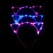 Huwaioury Flashing LED Cat Ear Headband - Party Supplies for Girls | Random Color | International Shipping Available - Buy Online on GoSupps.com