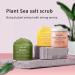 Himalayan Salt Sugar Scrub for Women - 10 oz Exfoliating Body Scrub for Acne Scars & Wrinkles - Deep Cleansing & Moisturizing (Pack of 1 - Buy Online on GoSupps.com