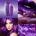 COLOUR ME Purple by Milton-Lloyd - Perfume for Women - Chypre Fruity Scent - Bergamot and Watermelon Notes - Blended with Rose Patchouli and Jasmine - for Elegant Ladies - 1.7 oz EDP Spray Purple 1.7 Ounce (Pack of 1) - Buy Online on GoSupps.com