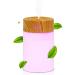 RUGERO 250ml Portable Cool Mist Air Humidifier with 7 LED Lights - Bedroom, Baby, Yoga, Office, Car - Light Wood Grain Finish | Mini Auto-Off Plant Humidifier - Buy Online on GoSupps.com