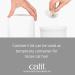 Catit Grooming Kit for Shorthaired Cats | 5-Piece Canister Set with Rubber Palm Brush, Nylon & Metal Slicker Brushes, Fine Comb, Curved Nail Clippers | White, Black, Grey | Short Hair - Buy Online on GoSupps.com