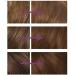 Clairol Nice'n Easy No Ammonia Hair Dye 76 Light Golden Brown - Buy Online on GoSupps.com