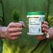 Buy Amazing Grass Organic Wheat Grass Tablets - 200 Tablets for Natural Wellness - Buy Online on GoSupps.com