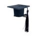Graduation Hat Insert 3D Graduation Hat Hairpin | Graduation Hat Hairpins Hat Inserts Graduation Accessories for Women Men Black