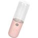 Face Nano Mist Sprayer 50ml Capacity USB Charging ABS Shell Handy Mist Sprayer for Home (Light Pink) - Buy Online on GoSupps.com