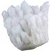 Buy Nupuyai Natural Mountain Crystal Druse Rodstein - Irregular Reiki Healing Stone & Large Crystal Cluster for Home Decoration - International Shipping Available - Buy Online on GoSupps.com