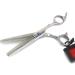 6.0 Inch Double-Sided Tooth Scissors Hairdressing Scissors High-end Professional Hairdressing Scissors Tools Corrosion Resistant Rust Resistant (Color : Silver) - Buy Online on GoSupps.com