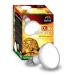 Terra Exotica D3 UV Heat Spot 80 Watt - in 80 100 and 125 watts available - UVB UVB Hermal lamp for reptiles sunlight simulated promotion of D3 synthesis (80 watts)