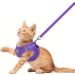 Femax Adjustable No Pull Dog Harness & Leash - Soft Mesh Vest for Small/Mid Dogs & Cats - Reflective Breakable Purple (30-34cm Breast) - Buy Online on GoSupps.com