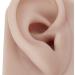 Silicone Ear Model Left and Right Soft Flexible Model Fake Ear Piercing Practice Human Ear Model Silicone Ear for Jewelry Display Acupuncture Teaching (#3) - Buy Online on GoSupps.com