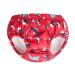 TotsBots- Reusable Swim Pants for Babies and Toddlers - Easy to Use - Swimming Pool Safe - Breathable and Stretchy Fabric - UK Made (Puffling Paddle 6-12 Months) 6-12 months Puffling Paddle