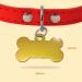 Personalized Bone-Shaped Pendants for Dogs & Cats | Ibera Gifts - Custom Engraved Neck Bands in Gold - Buy Online on GoSupps.com