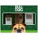 Bulldog Skincare Beard Care Kit 350g - Complete grooming solution for a well-maintained beard - Buy Online on GoSupps.com