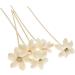 Kesheng 5X Rattan Sticks with Balls - White Flower Diffuser Decor & Replacement for Room Fragrance | Shop Internationally - Buy Online on GoSupps.com