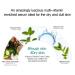 Dr. IASO Skin Repair Serum - Anti Aging & Anti Wrinkle Korean Beauty | Vitamin E & B Hyaluronic Acid for Radiant Skin - 1.5 oz - Buy Online on GoSupps.com