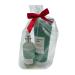 Bath & Body Works Aromatherapy Breathe Deep Eucalyptus & Lavender Gift Set - Holiday Essential Oil Mist & Body Cream with Red Bow - Perfect for Gifts - Buy Online on GoSupps.com