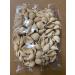 Buy Pasta Shells Online - Premium Quality Pasta for Delicious Recipes - Buy Online on GoSupps.com